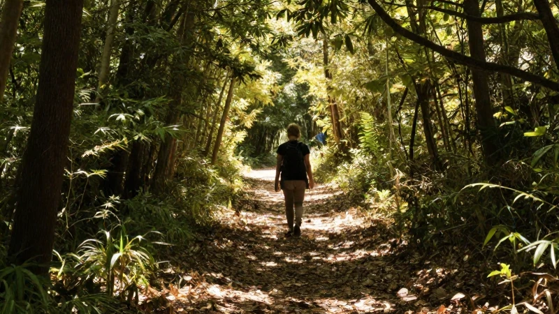 Caminante en bosque, luz cálida y tranquila